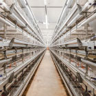 Системы автоматизации Системы автоматизации