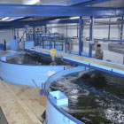 Системы водоснабжения Системы водоснабжения