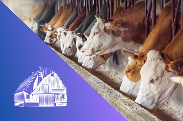 Реконструкция и модернизация действующих комплексов